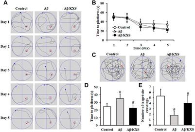 Kaixin-San improves Aβ-induced synaptic plasticity inhibition by affecting the expression of regulation proteins associated with postsynaptic AMPAR expression